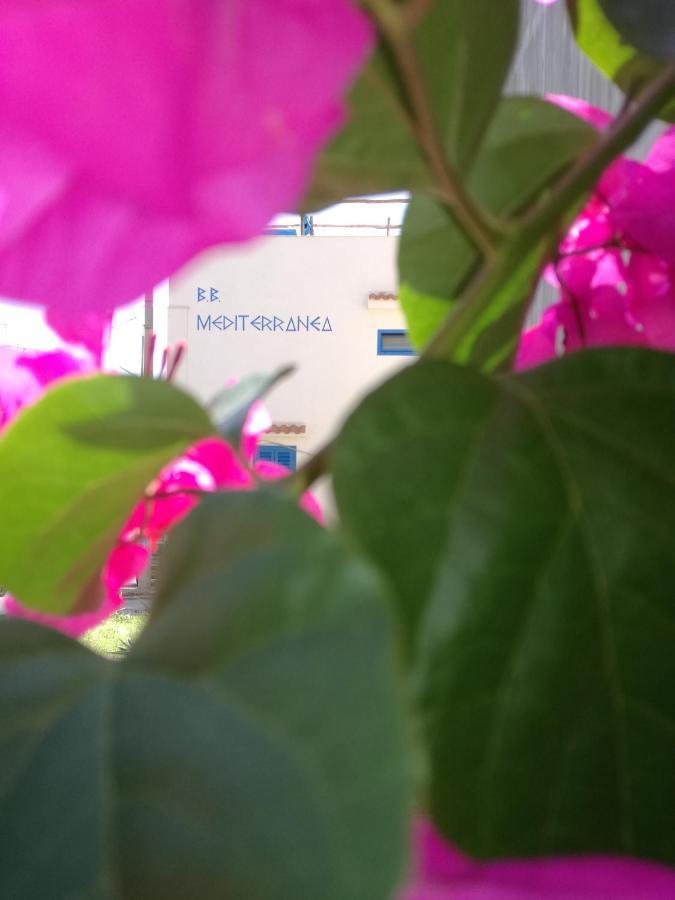 Mediterranea Guesthouse B&B Portopalo Di Capo Passero 외부 사진